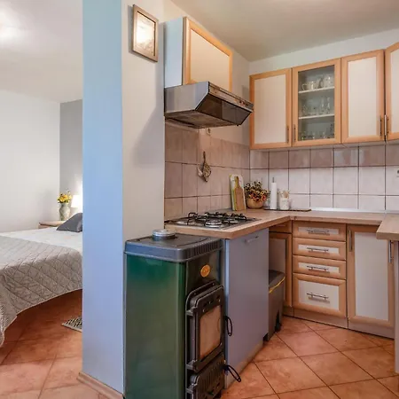 Pet Friendly In With Wi-fi Holiday home Valbandon
